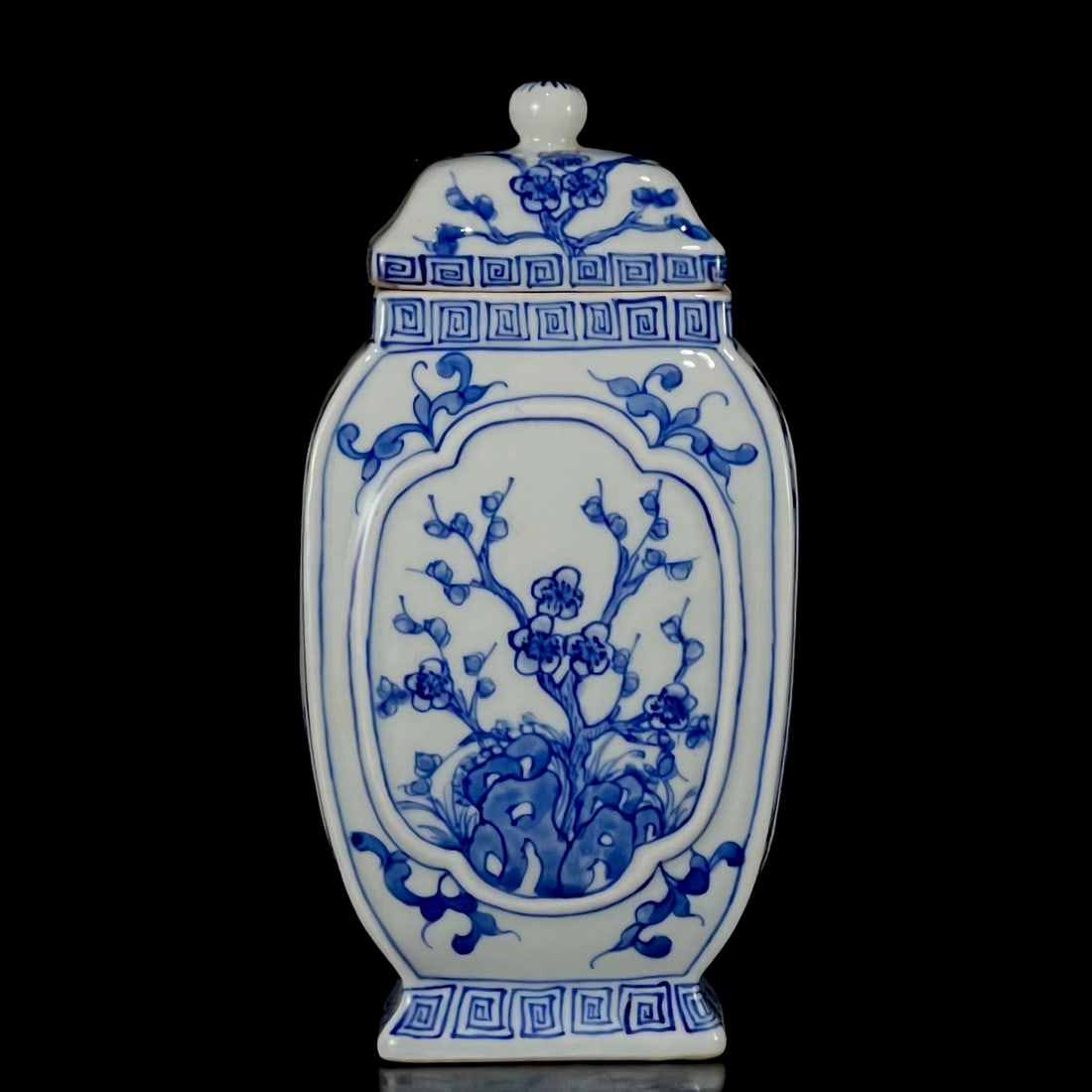 An Exquisite Blue and White Flower Pattern Tea Caddy (1 of 9)
