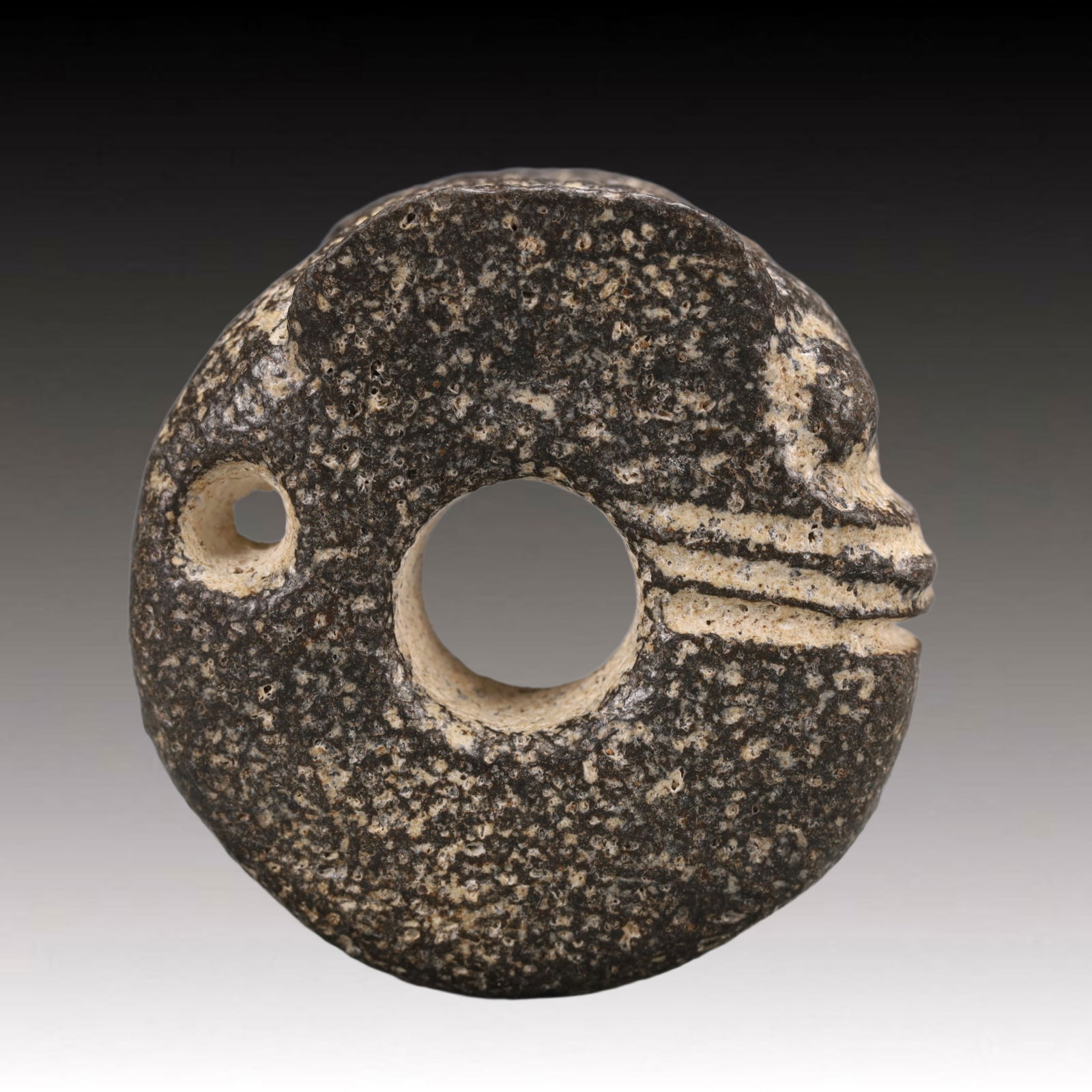 An Archaic Hongshan Culture Coal crystal Pig and Dragon Pendant: An Archaic Hongshan Culture Coal crystal Pig and Dragon Pendant,Ancient Time, China,Size:2.4inx1.1in Weight:179g 红山文化梅晶石猪龙挂件