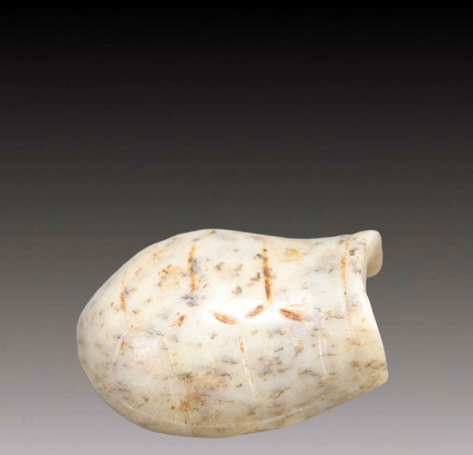 An Archaic Hongshan Culture White chicken bones Turtle shell Pendant (1 of 8)