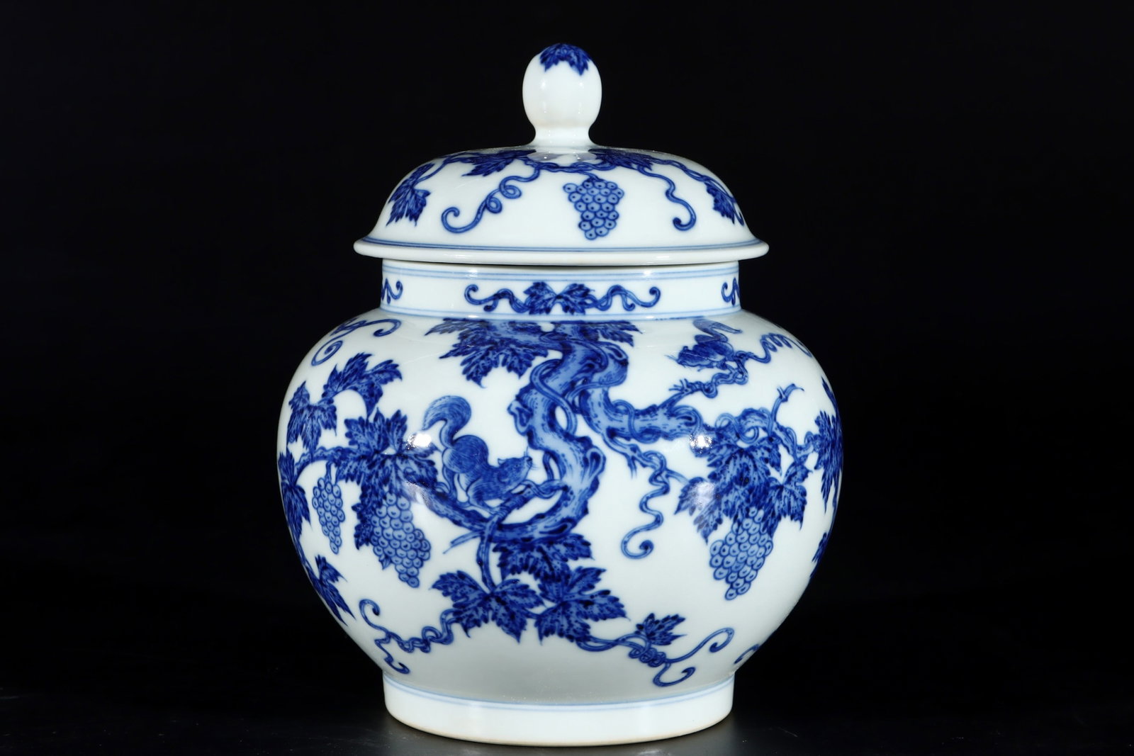 An Exquisite Blue and White Squirrel and Grapes Pattern Tea Caddy (1 of 9)
