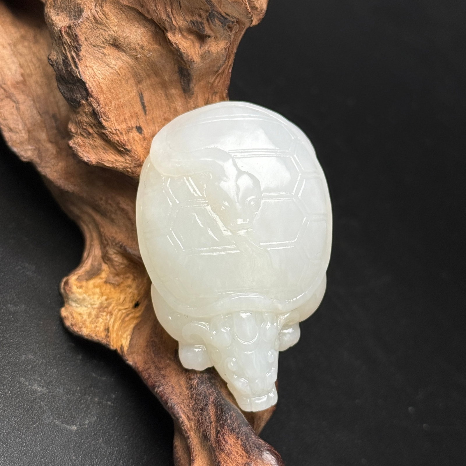 An Exquisite White Jade Dragon Turtle Ornament (1 of 7)