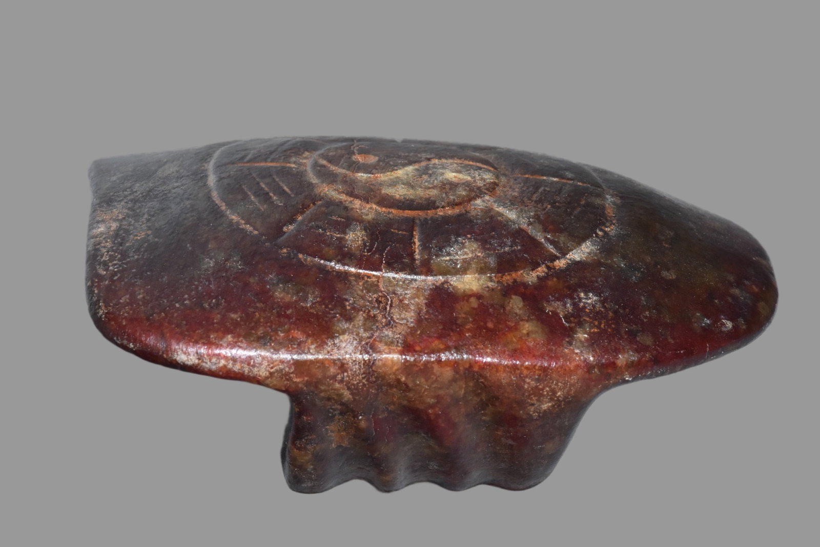 A Exquisite Hemoyu Tortoise Shell - 5