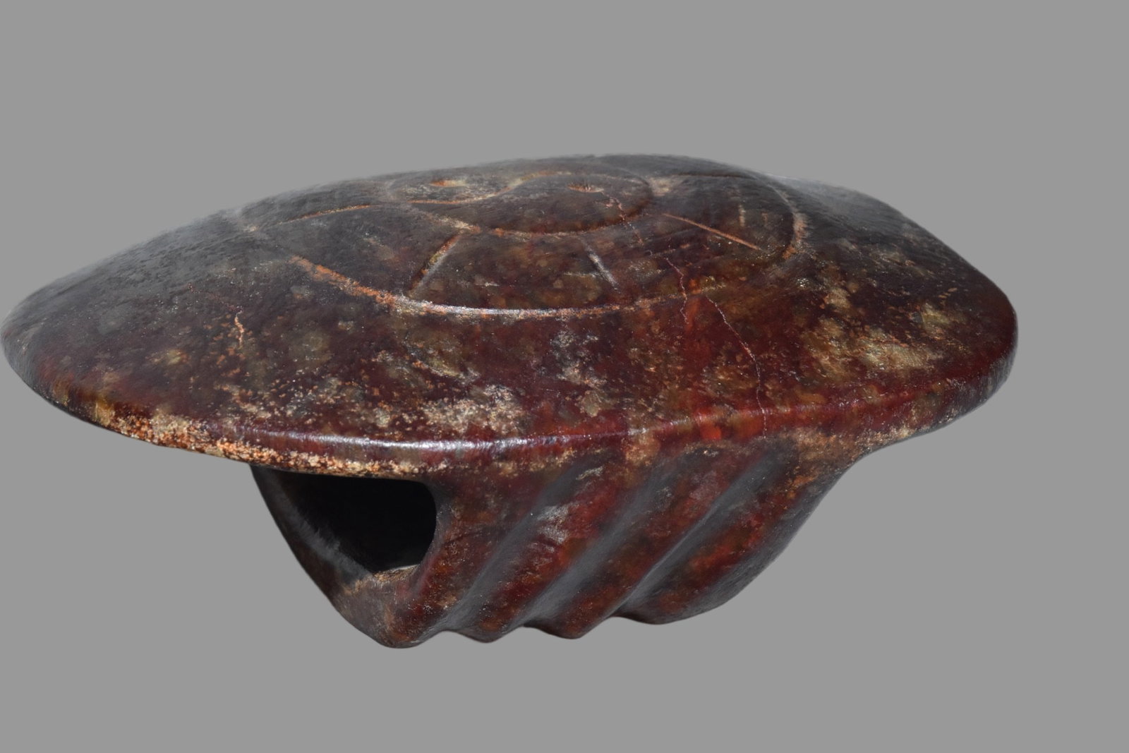 A Exquisite Hemoyu Tortoise Shell - 6
