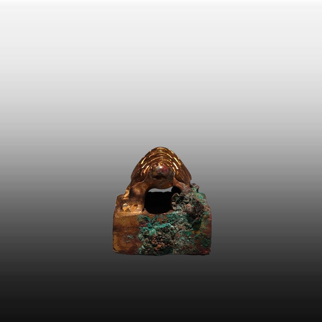 A Exquisite Gilt Bronze Turtle Seal - 3