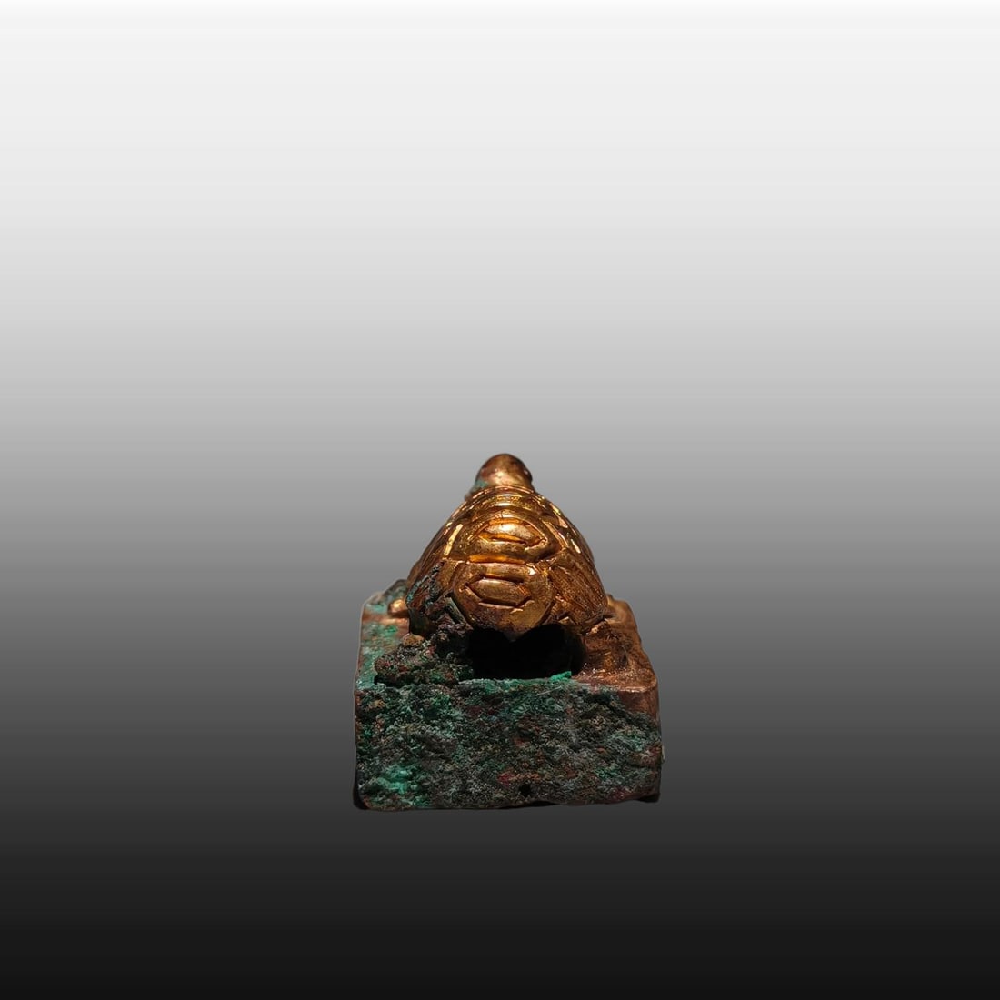 A Exquisite Gilt Bronze Turtle Seal - 7