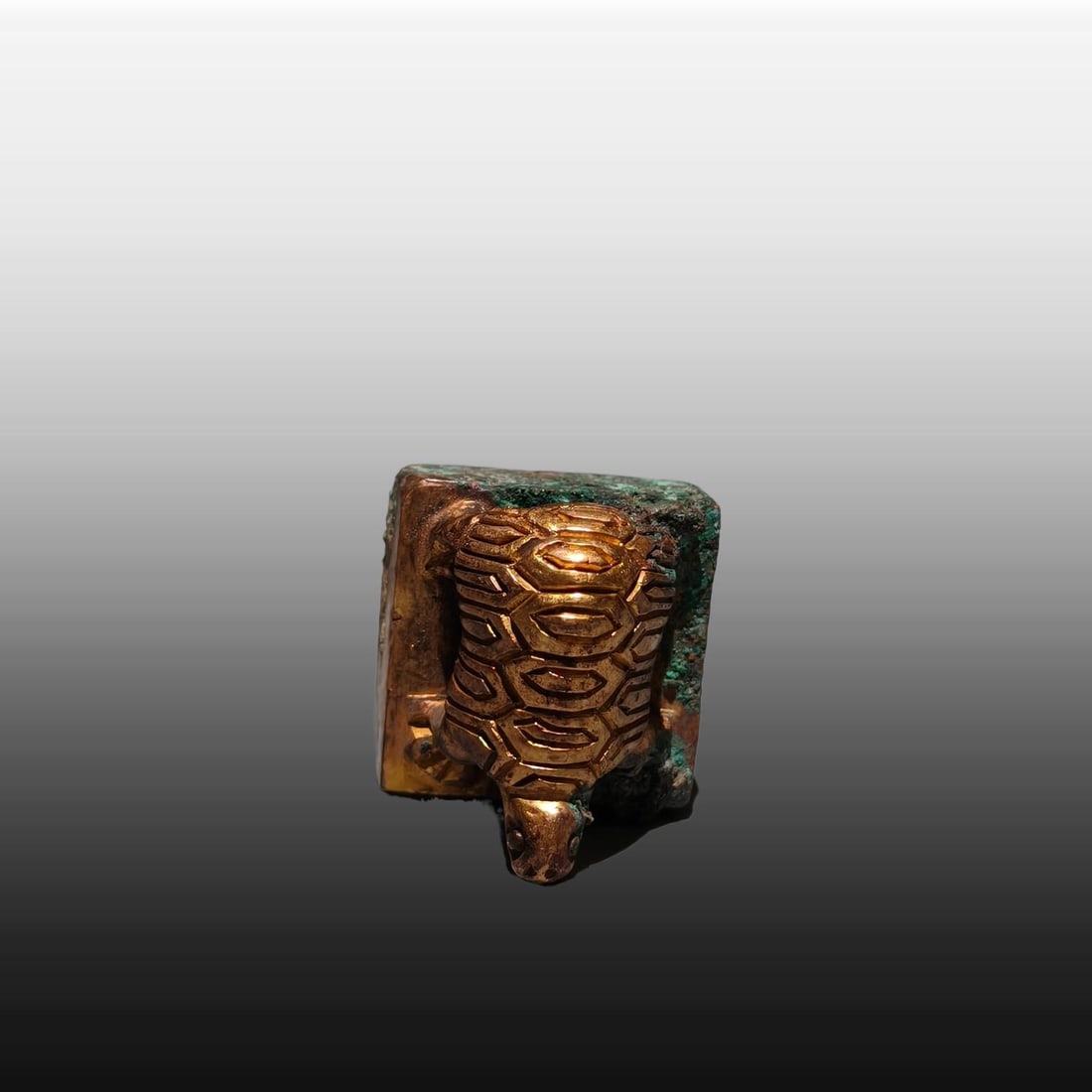 A Exquisite Gilt Bronze Turtle Seal - 8