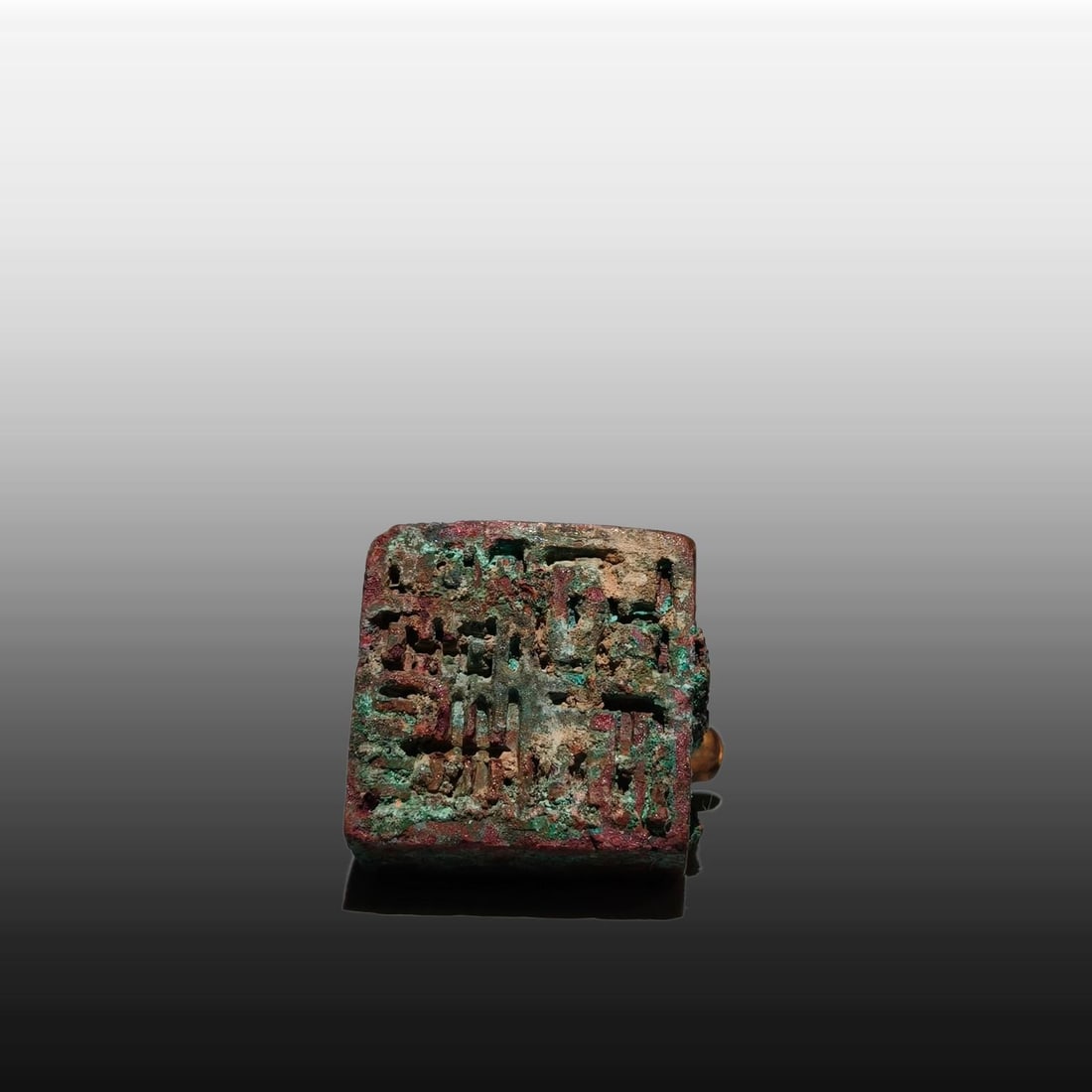A Exquisite Gilt Bronze Turtle Seal - 9