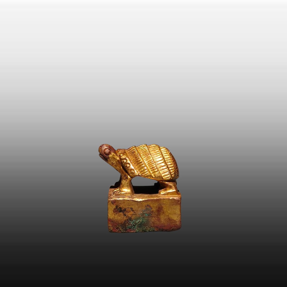 A Exquisite Gilt Bronze Turtle Seal - 6