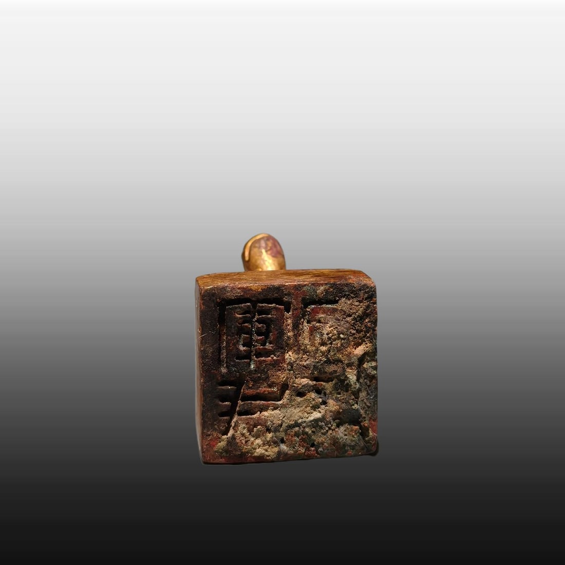 A Exquisite Gilt Bronze Turtle Seal - 9