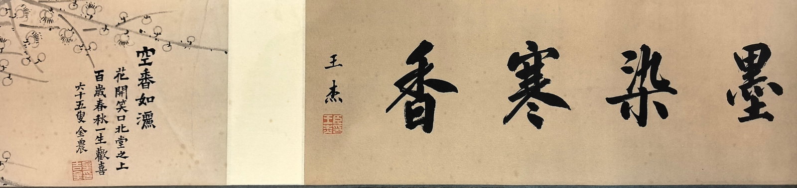 A Chinese Hand Scroll Ink Flower Painting on Paper: A Chinese Hand Scroll Ink Flower Painting on Paper,Qing Dynasty, China,Jin Nong,without frame size:68.1inx7.1in
