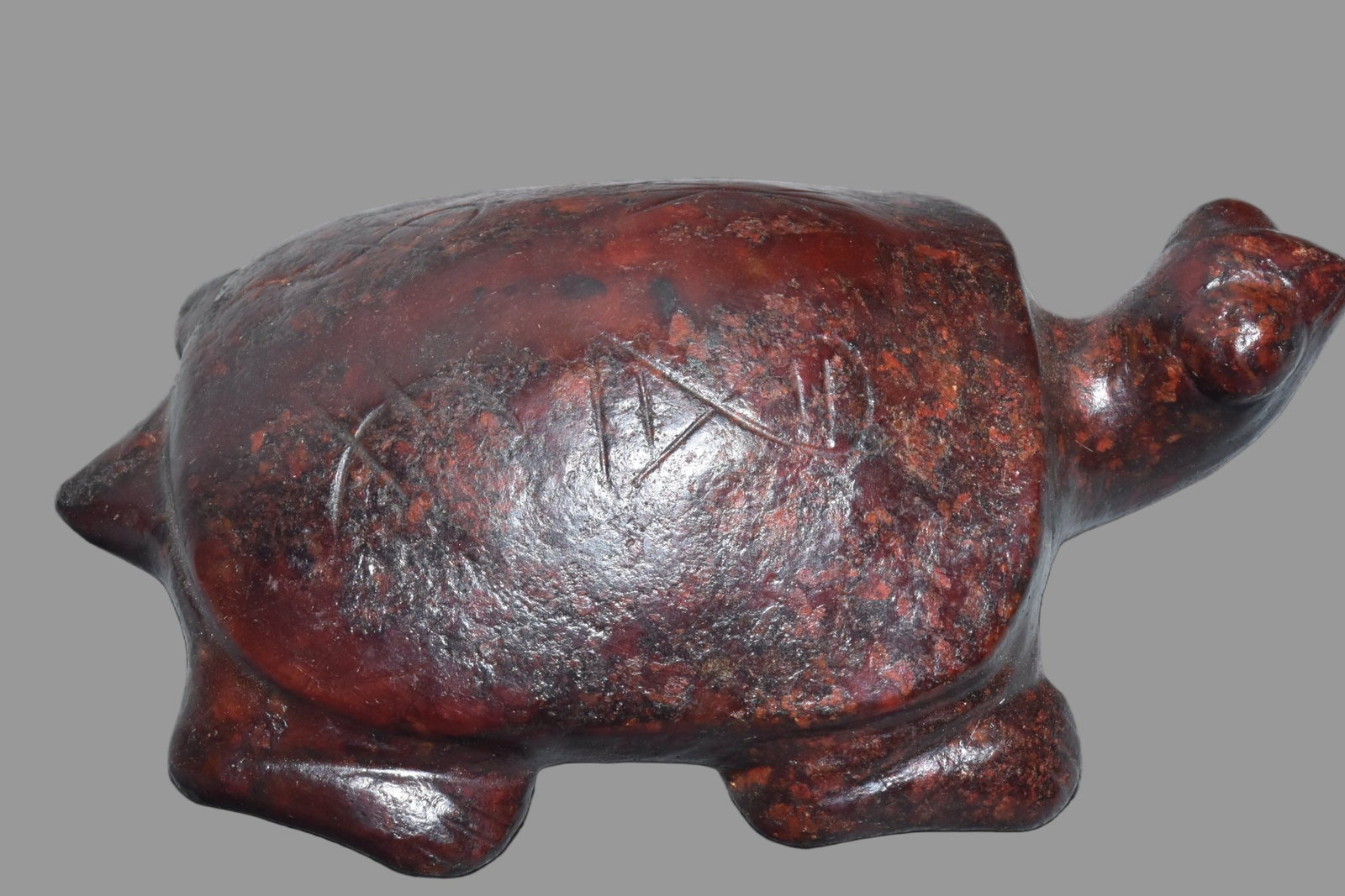A Exquisite Hemoyu Turtle - 2