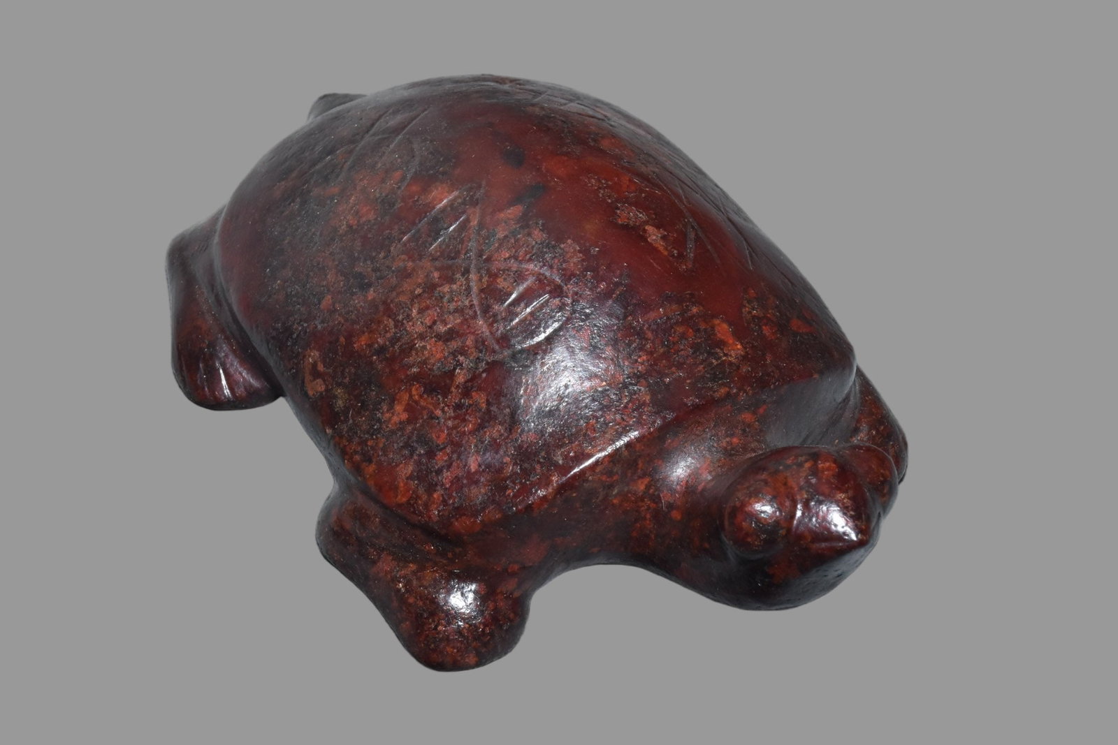 A Exquisite Hemoyu Turtle - 3
