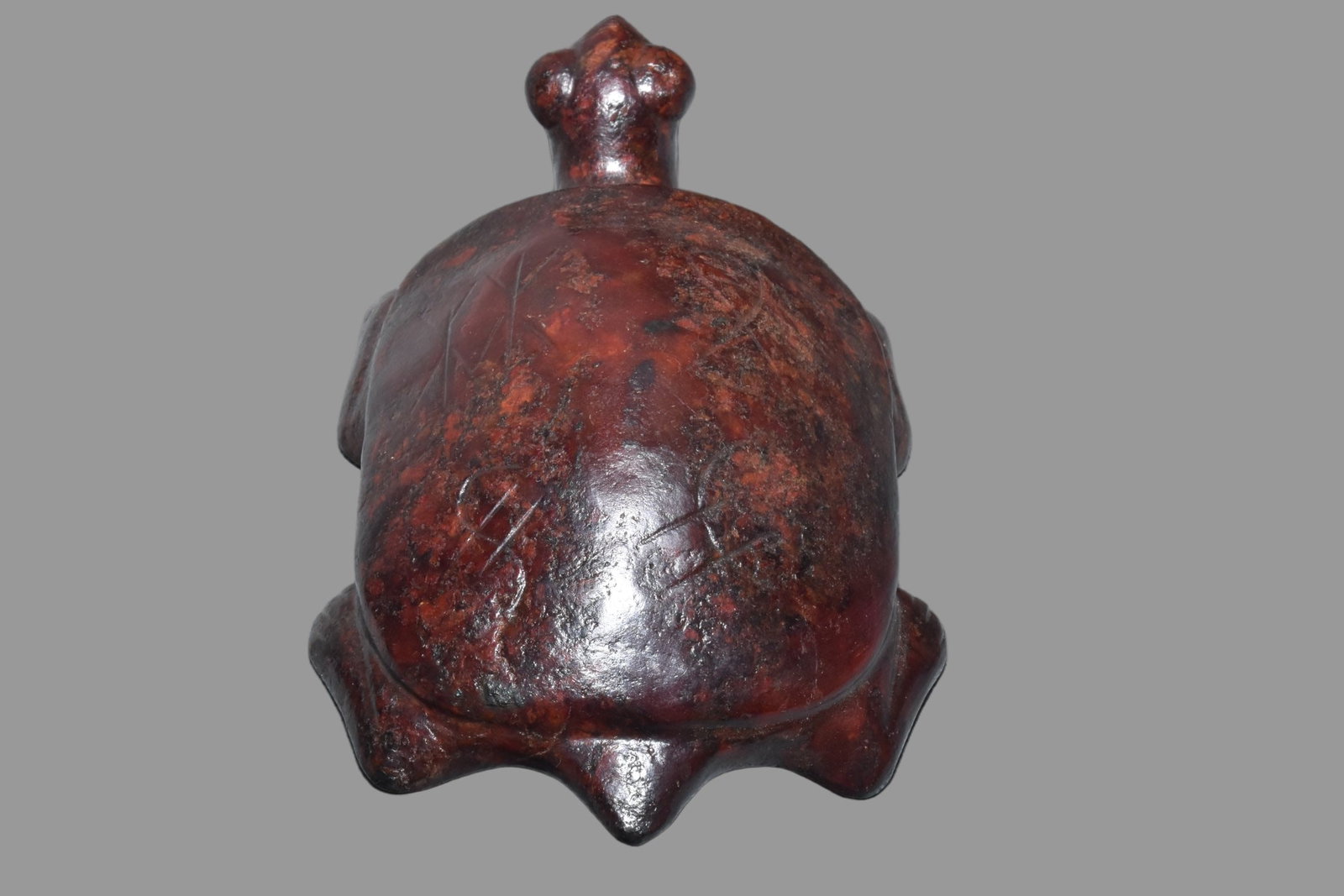 A Exquisite Hemoyu Turtle - 5