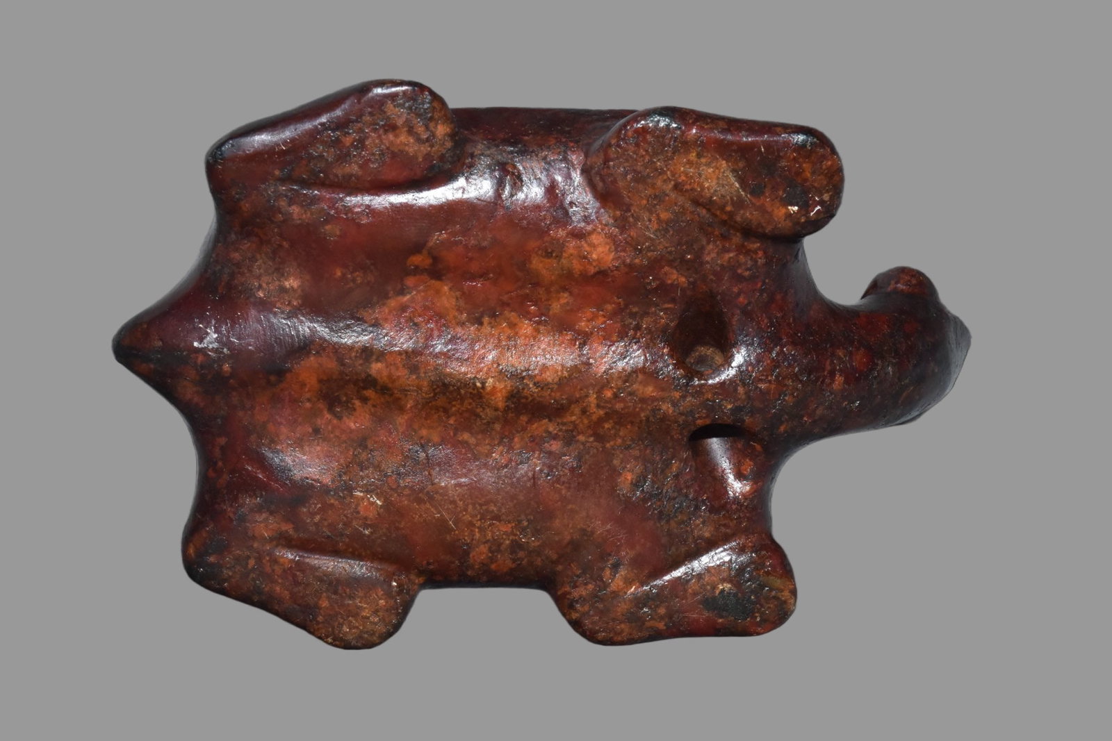 A Exquisite Hemoyu Turtle - 6