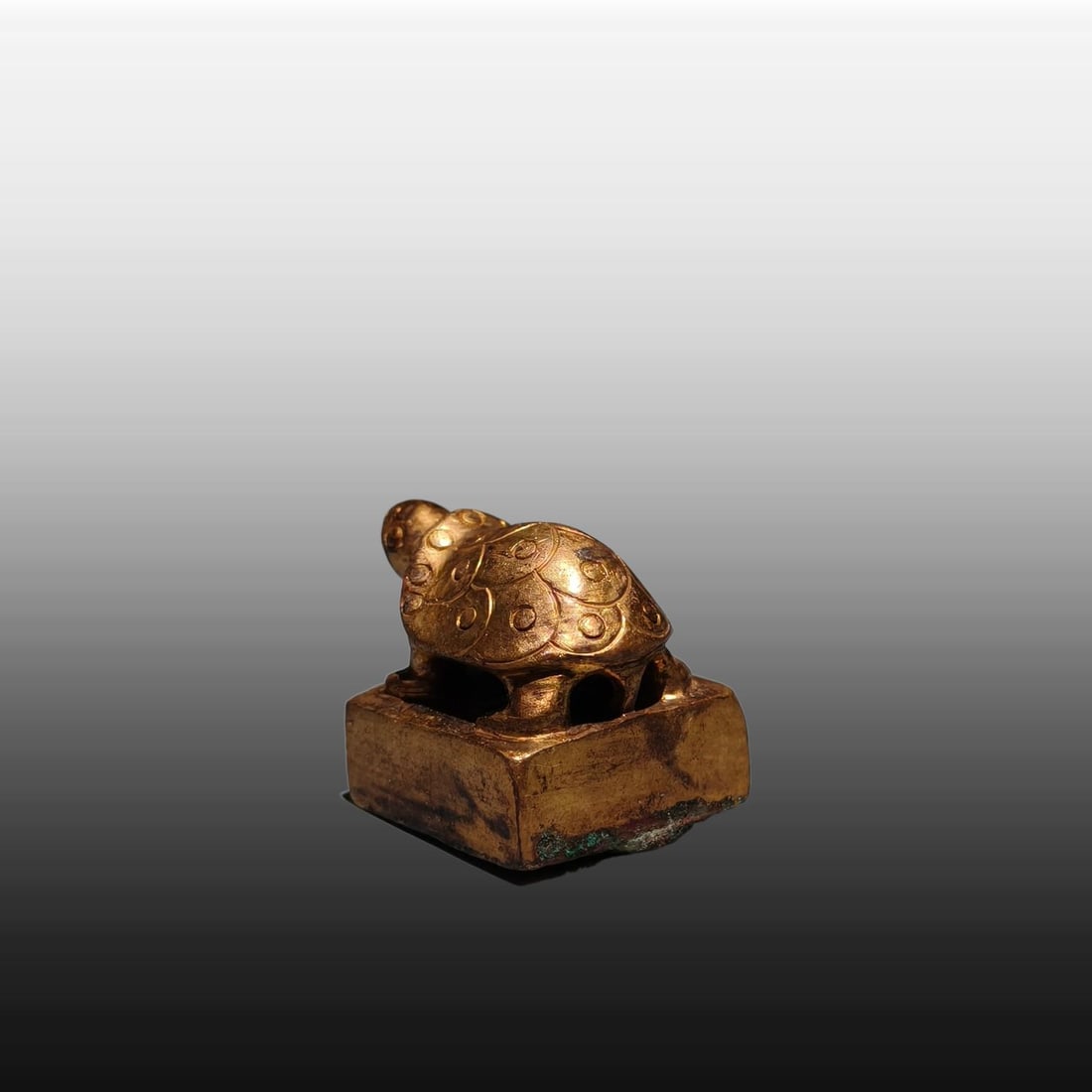 A Exquisite Gilt Bronze Turtle Seal - 6