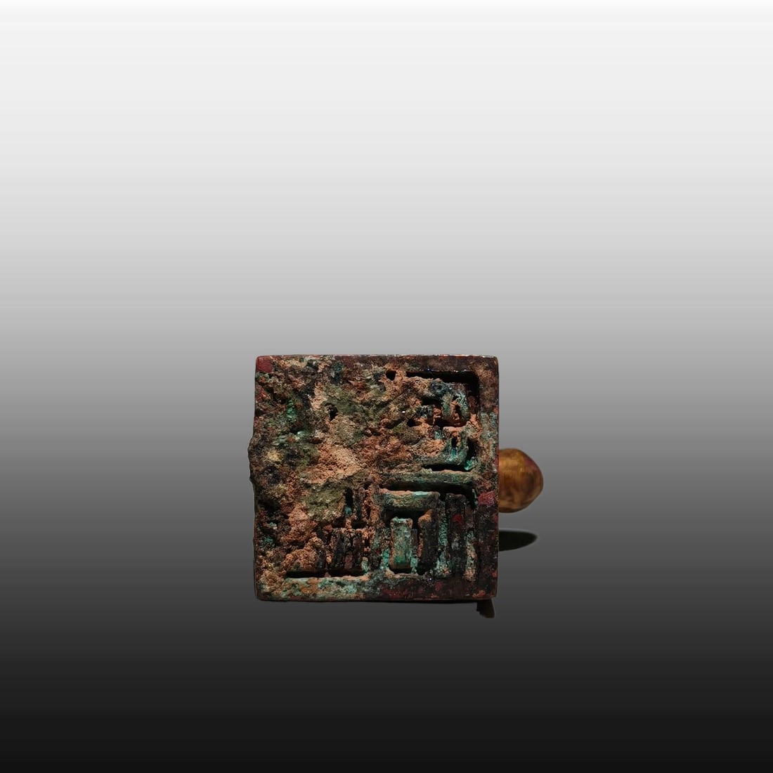 A Exquisite Gilt Bronze Turtle Seal - 9