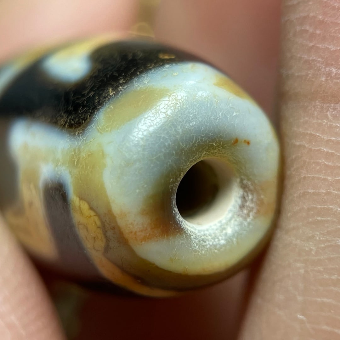 A Exquisite Tiger Tooth Dzi bead - 10