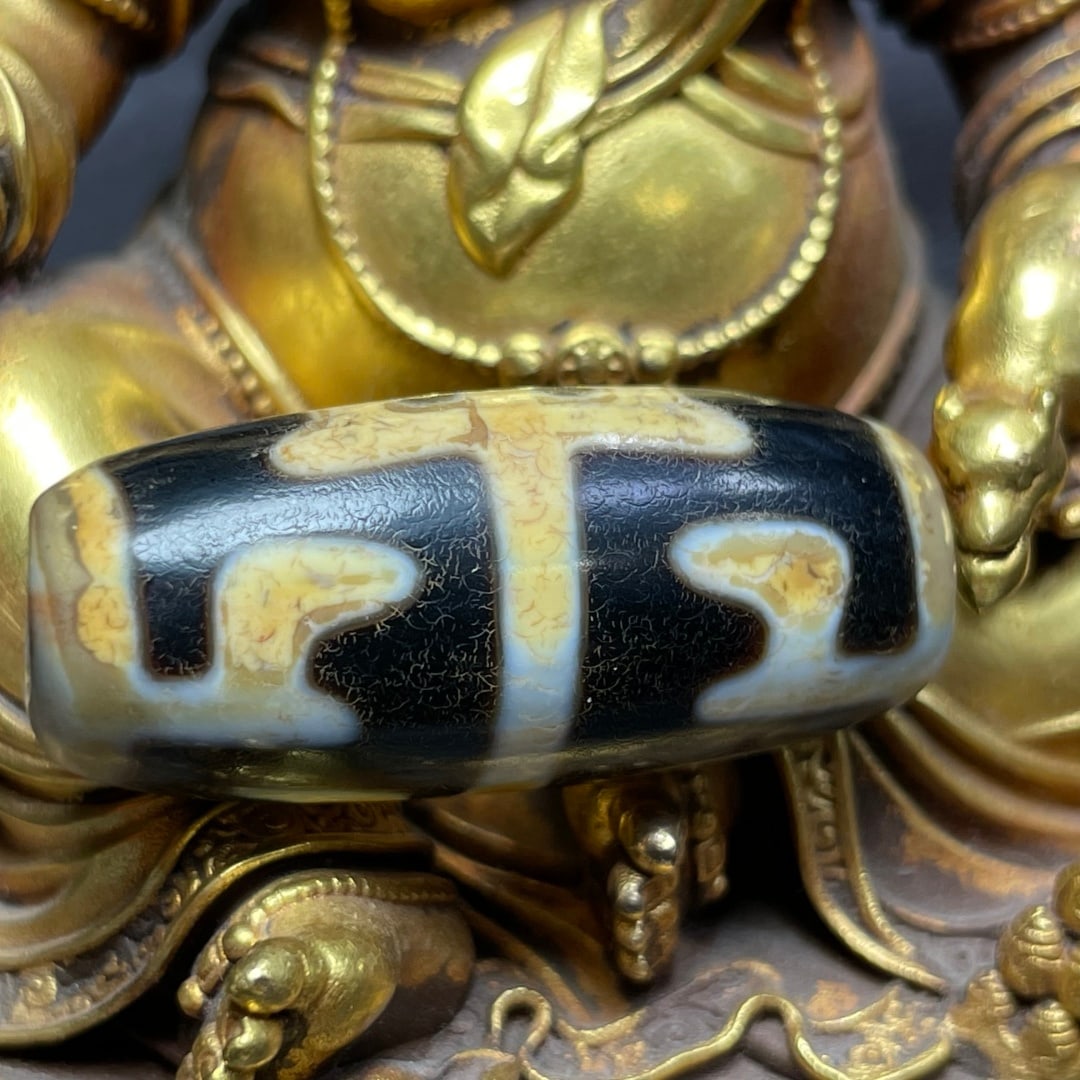 A Exquisite Tiger Tooth Dzi bead: A Exquisite Tiger Tooth Dzi bead,Qing Dynasty, China,Size:0.5inx1.3in 虎牙天珠,中国清代