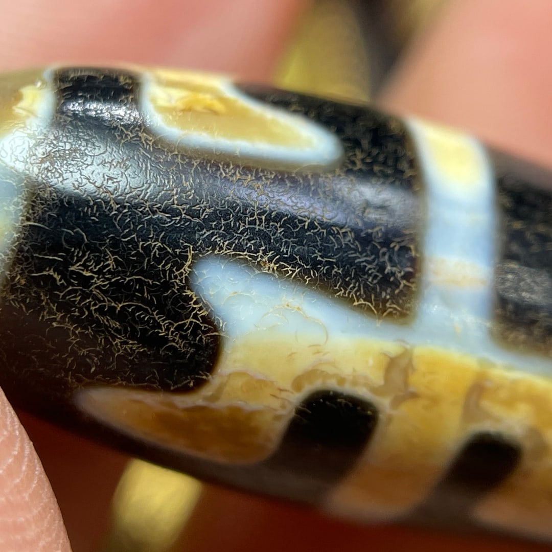 A Exquisite Tiger Tooth Dzi bead - 5