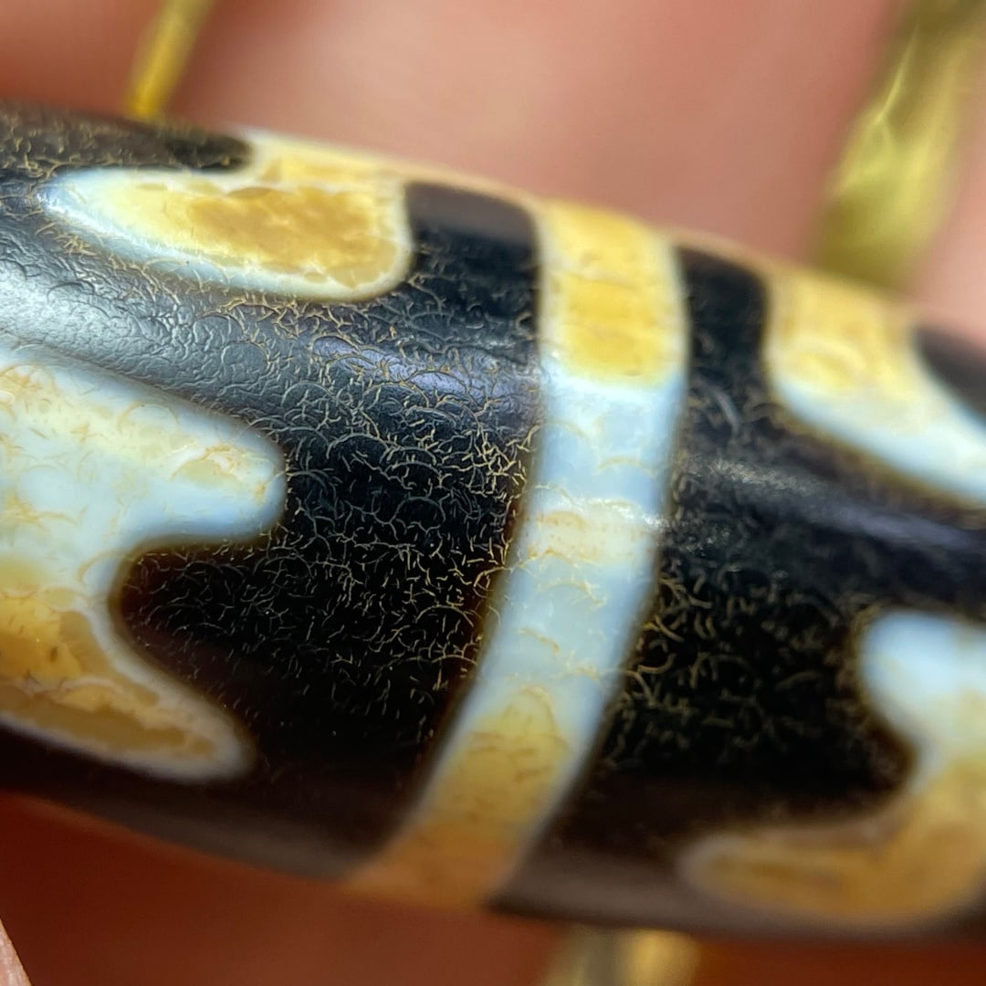 A Exquisite Tiger Tooth Dzi bead - 9