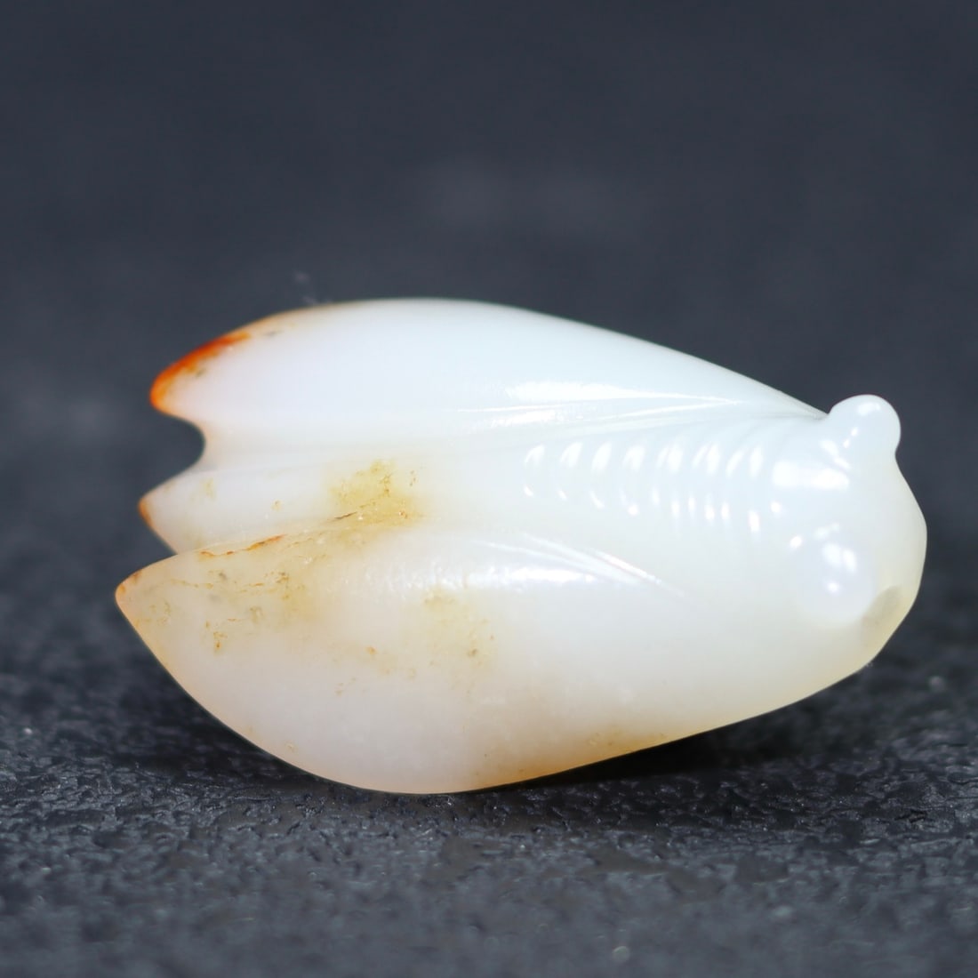 A Exquisite Hotan Jade Cicada - 5