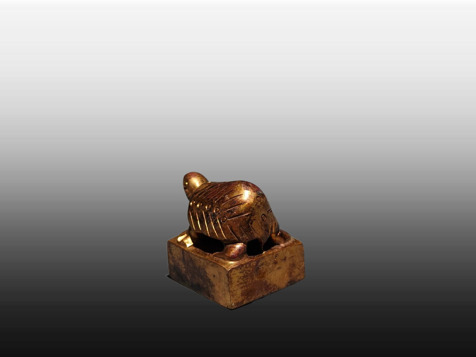 A Exquisite Gilt Bronze Turtle Seal - 6