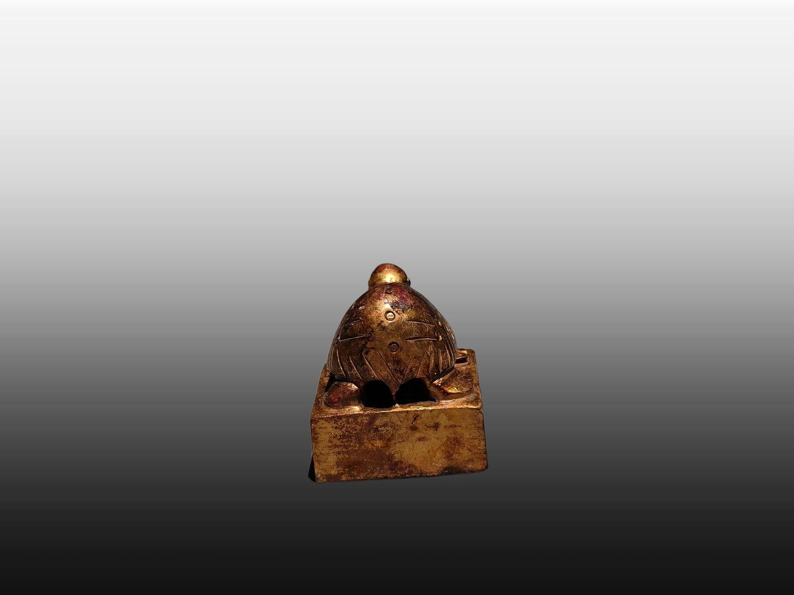 A Exquisite Gilt Bronze Turtle Seal - 7