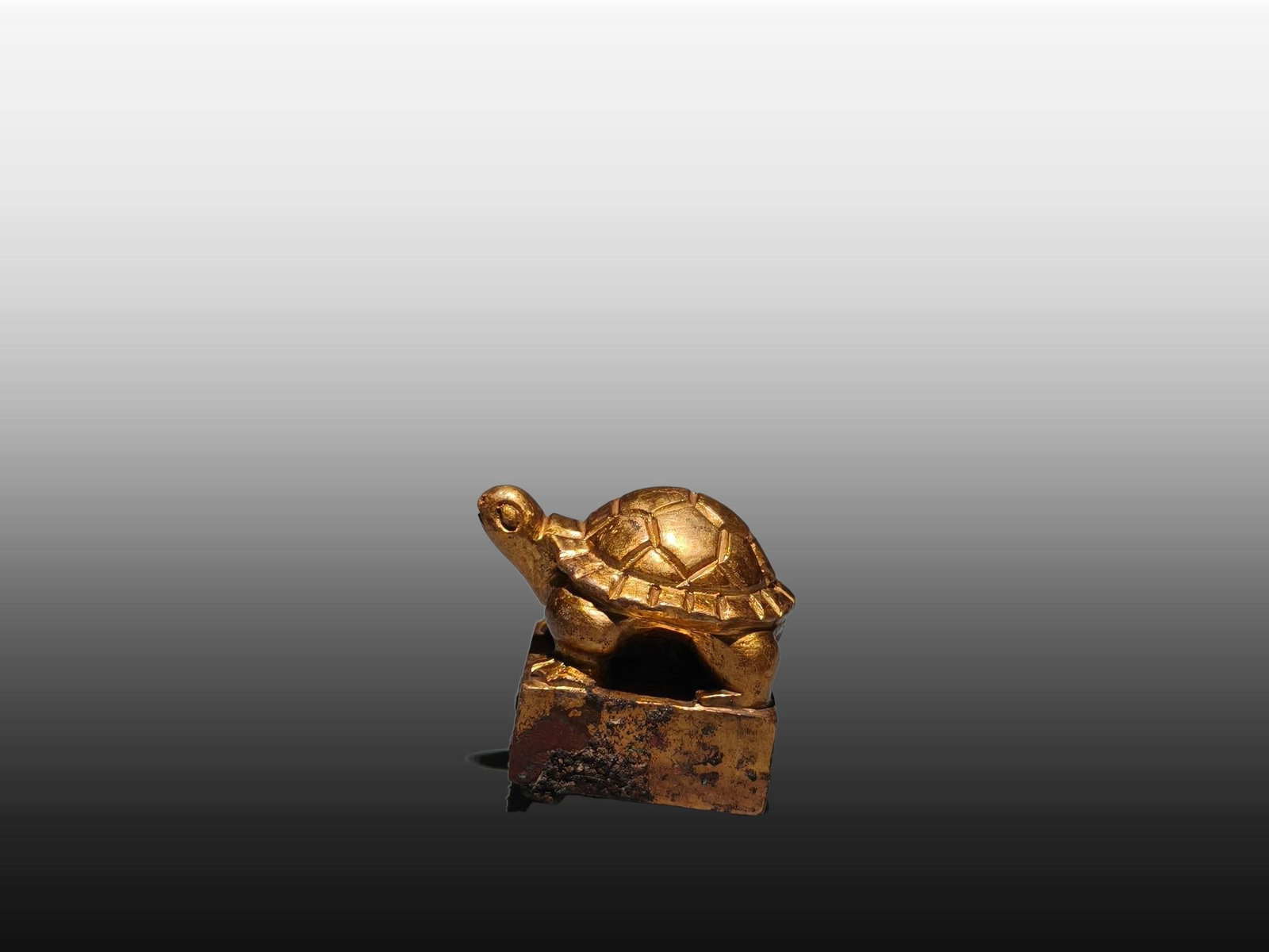 A Exquisite Gilt Bronze Turtle Seal - 5