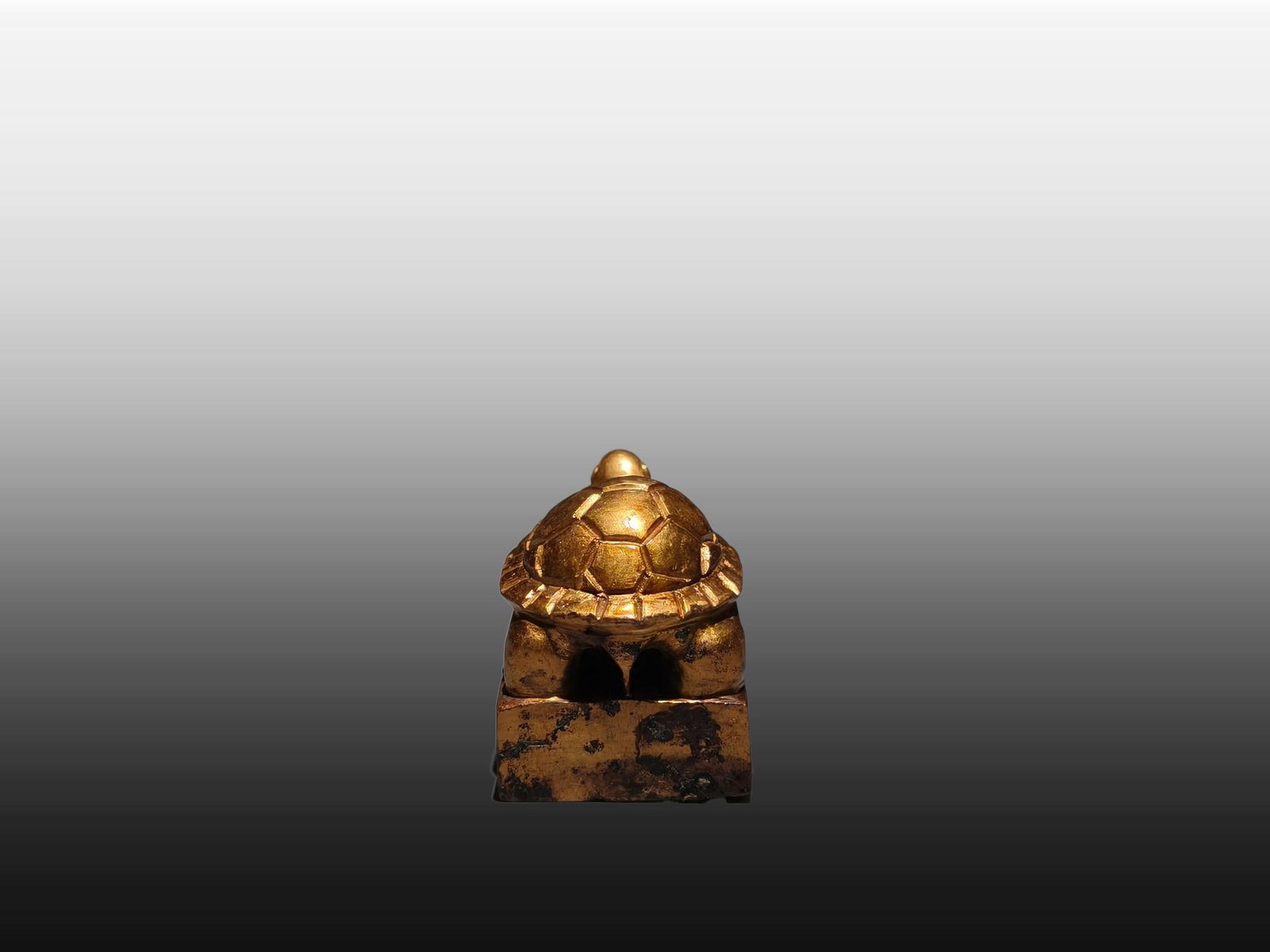 A Exquisite Gilt Bronze Turtle Seal - 7