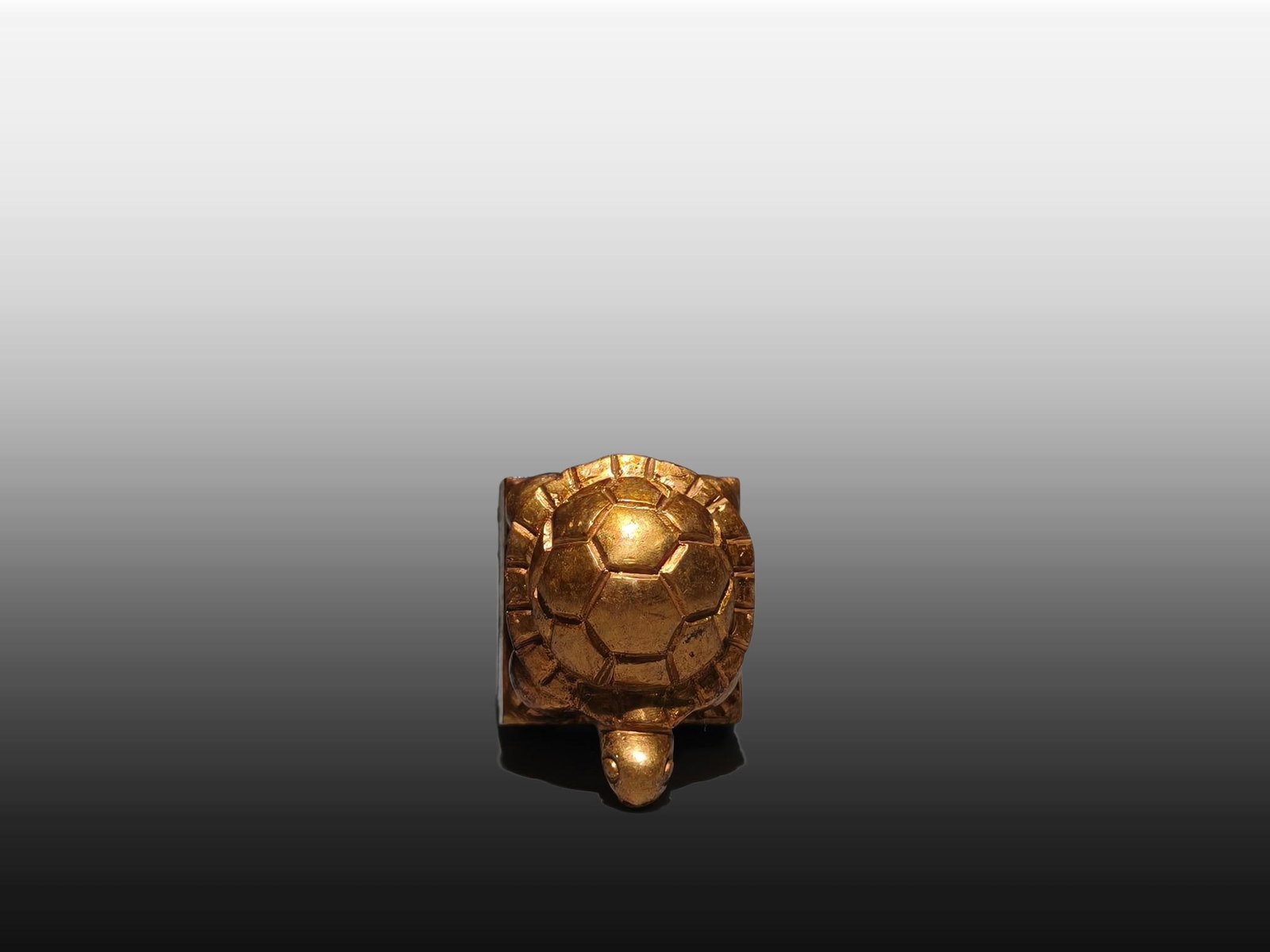 A Exquisite Gilt Bronze Turtle Seal - 8