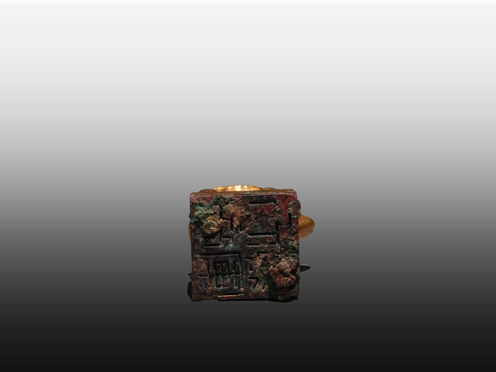A Exquisite Gilt Bronze Turtle Seal - 9