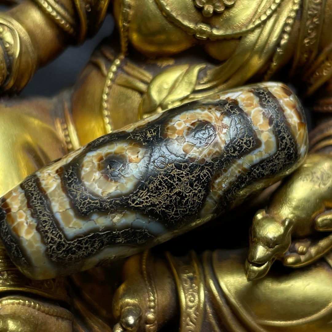 A Exquisite Seven Eye Dzi bead - 2