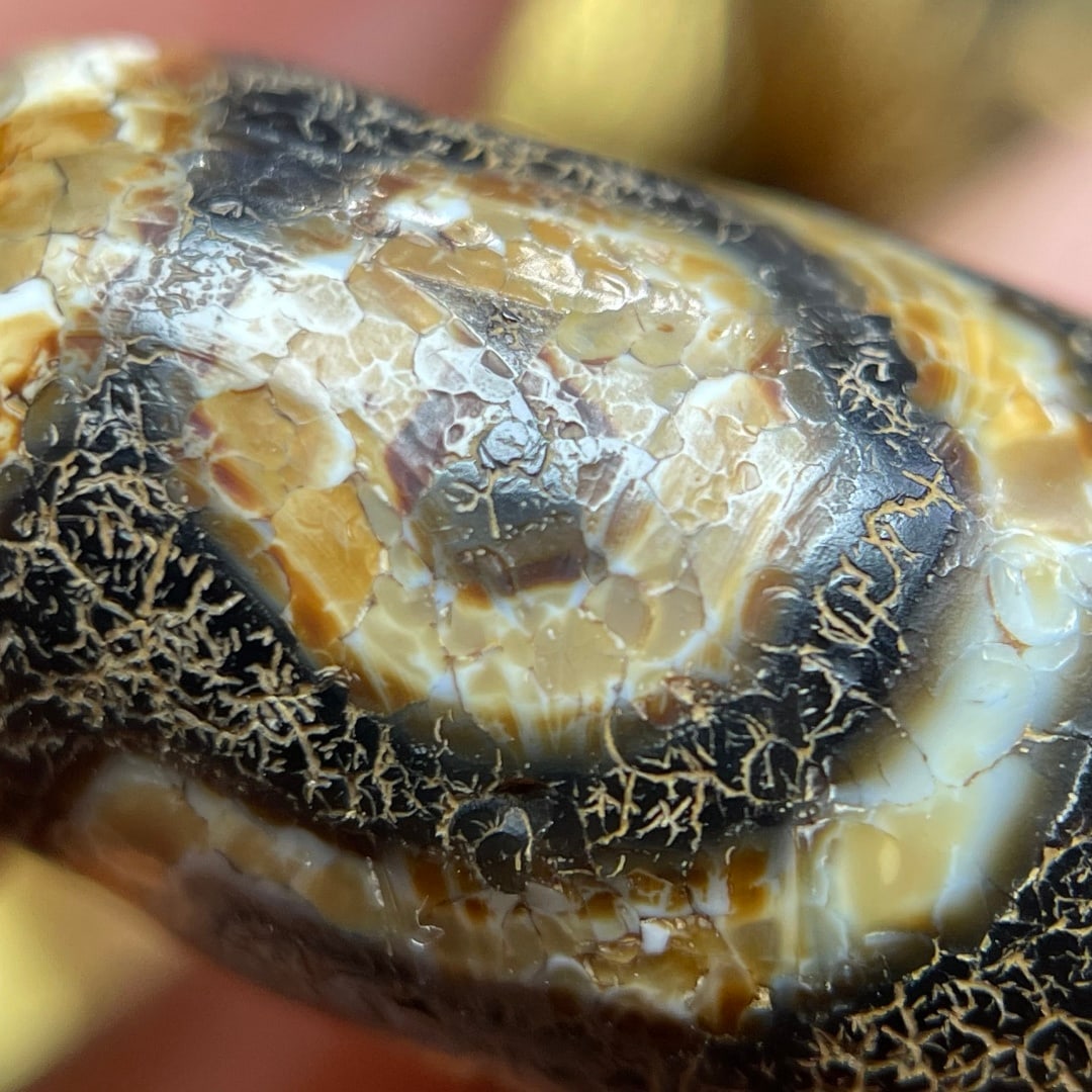 A Exquisite Seven Eye Dzi bead - 5