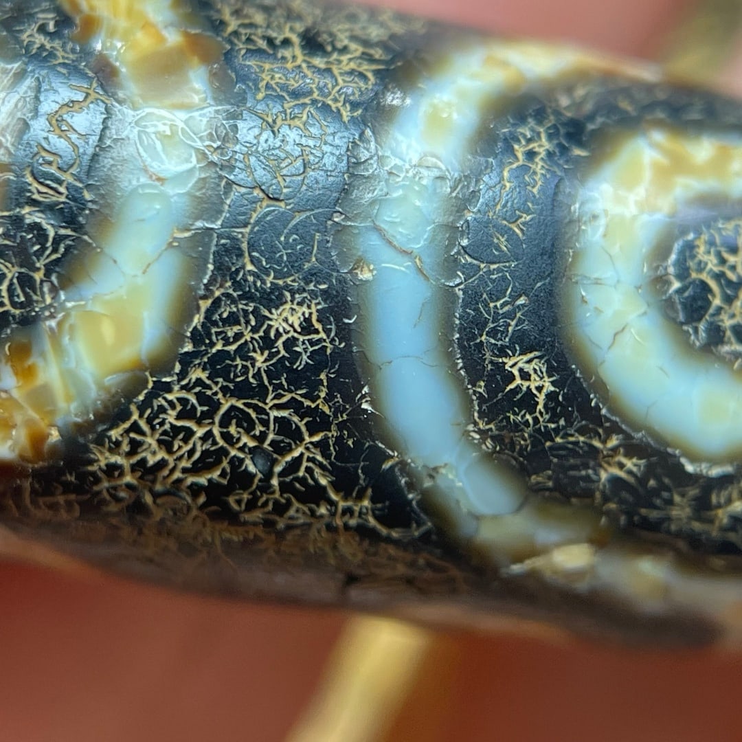 A Exquisite Seven Eye Dzi bead - 6