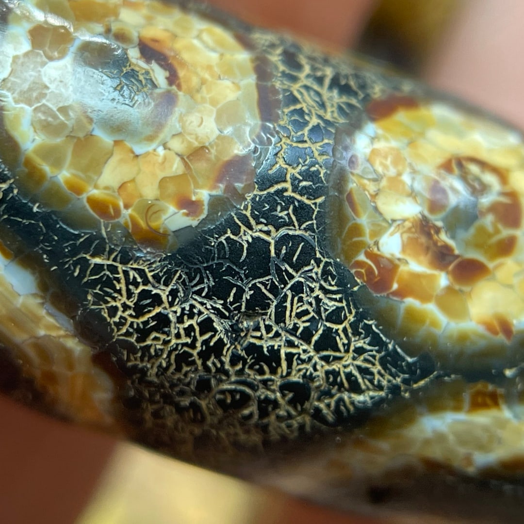 A Exquisite Seven Eye Dzi bead - 7