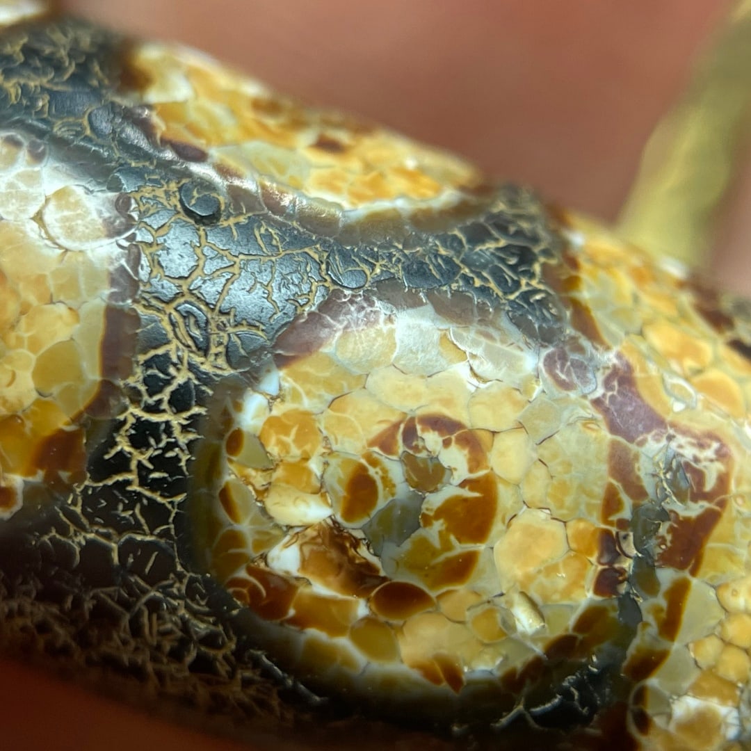 A Exquisite Seven Eye Dzi bead - 8