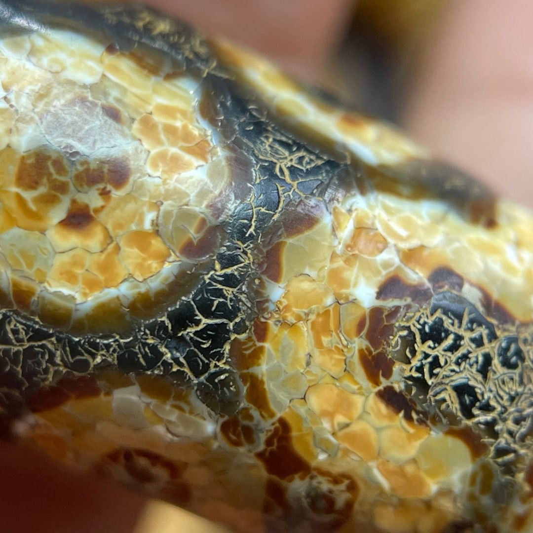 A Exquisite Seven Eye Dzi bead - 9