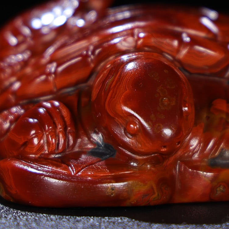 A Exquisite Agate Tortoise Ornament - 5