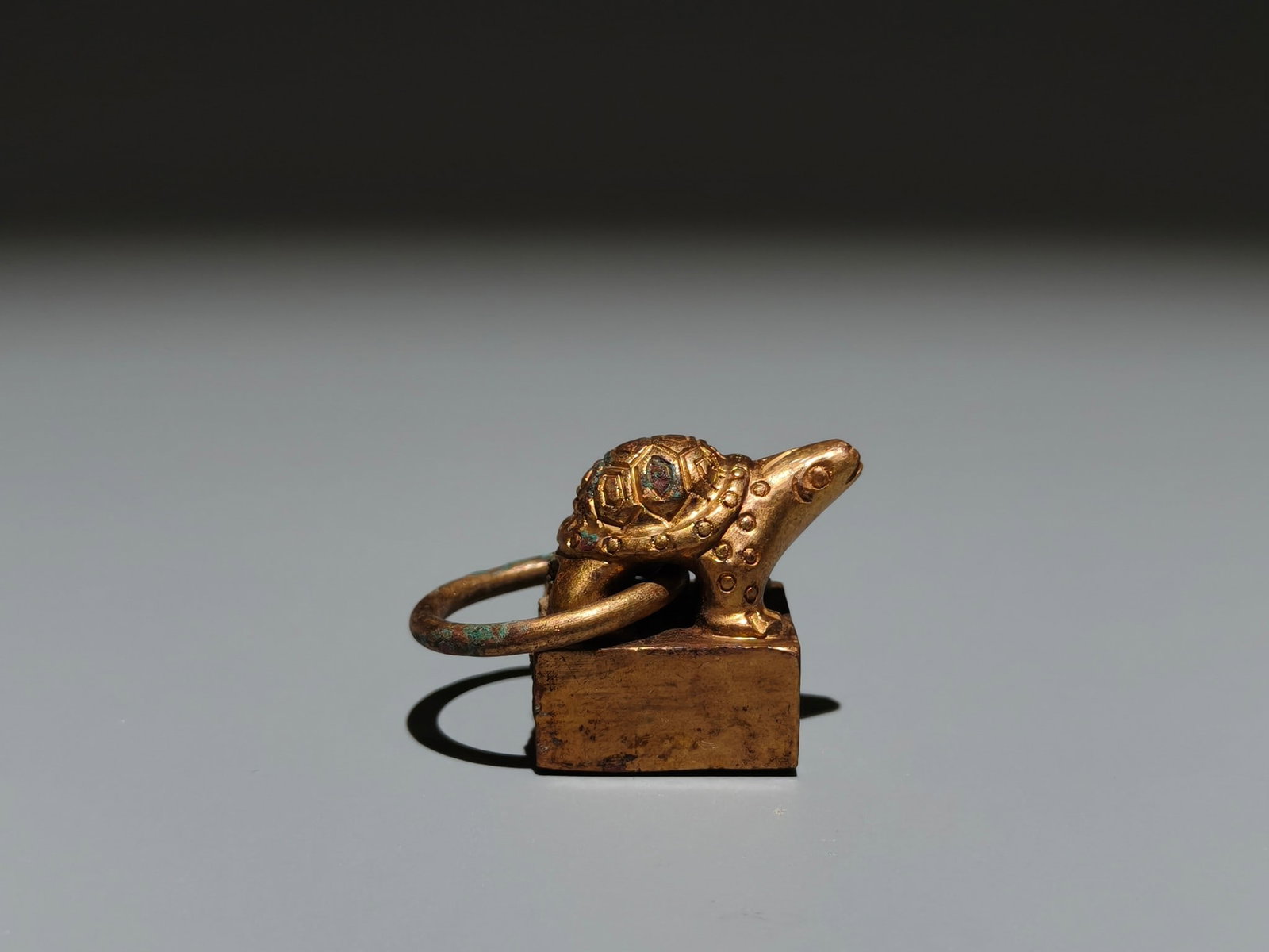 A Exquisite Gilt Bronze Turtle Seal - 5