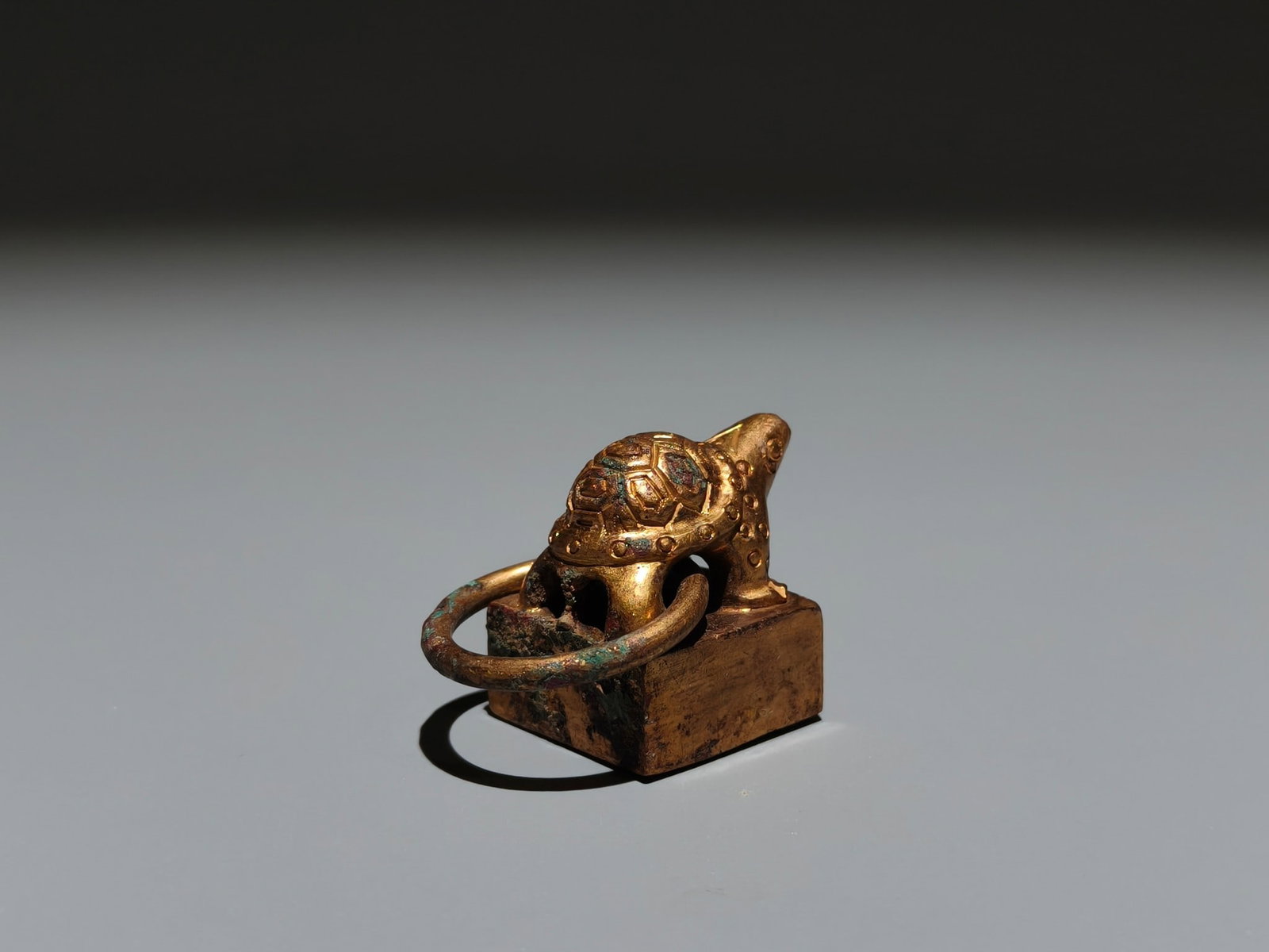 A Exquisite Gilt Bronze Turtle Seal - 6