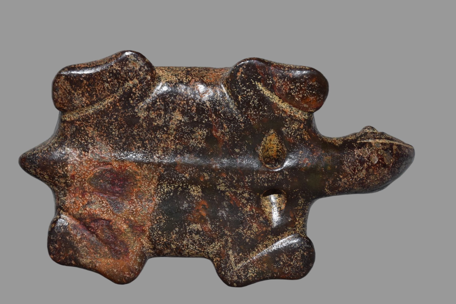A Exquisite Hemoyu Turtle - 6