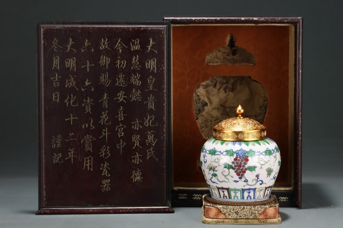 A Exquisite Doucai Grapes Pattern Flower and Butterfly Pattern Jar (1 of 9)