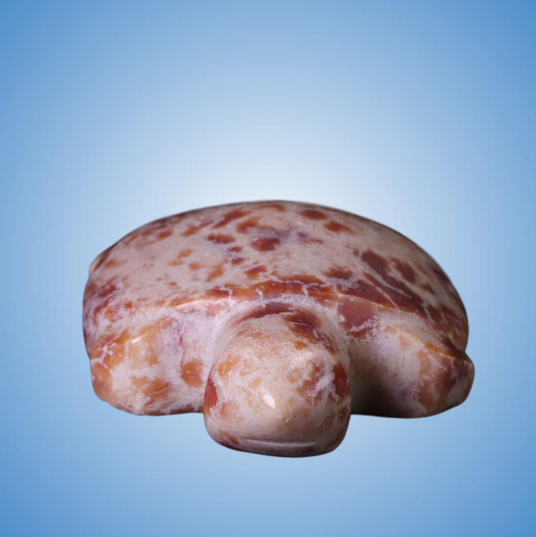 A Exquisite Gaogu Jade Turtle - 4