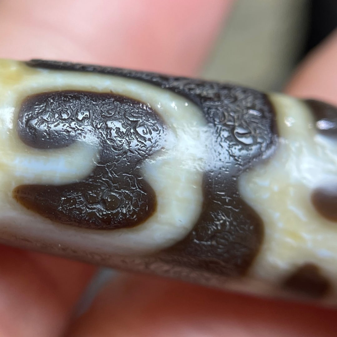 A Exquisite Tiger Tooth Dzi bead - 6