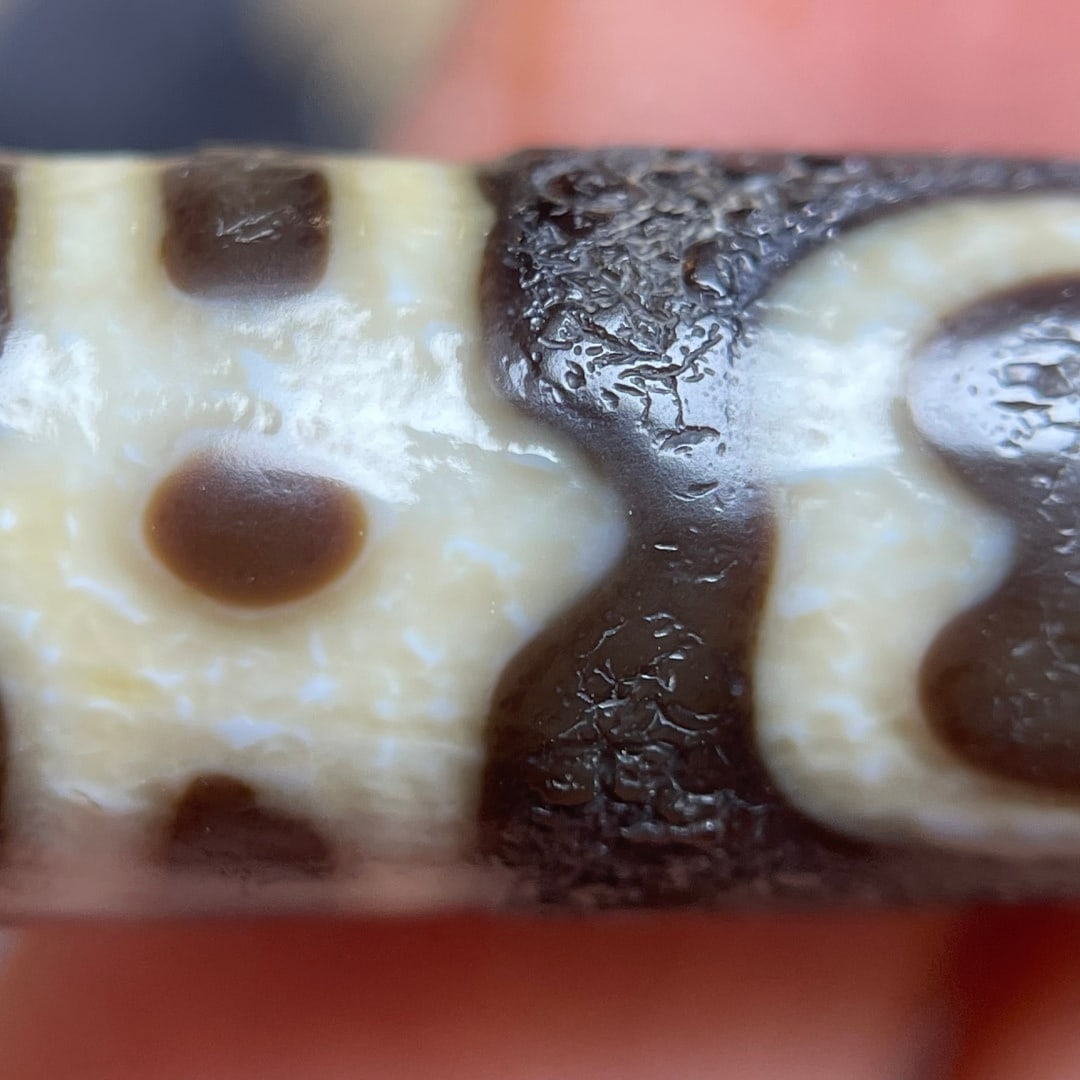 A Exquisite Tiger Tooth Dzi bead - 7
