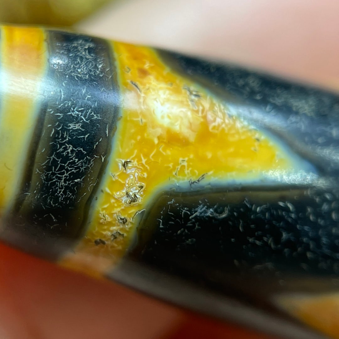 A Exquisite Tiger Tooth Dzi bead - 5
