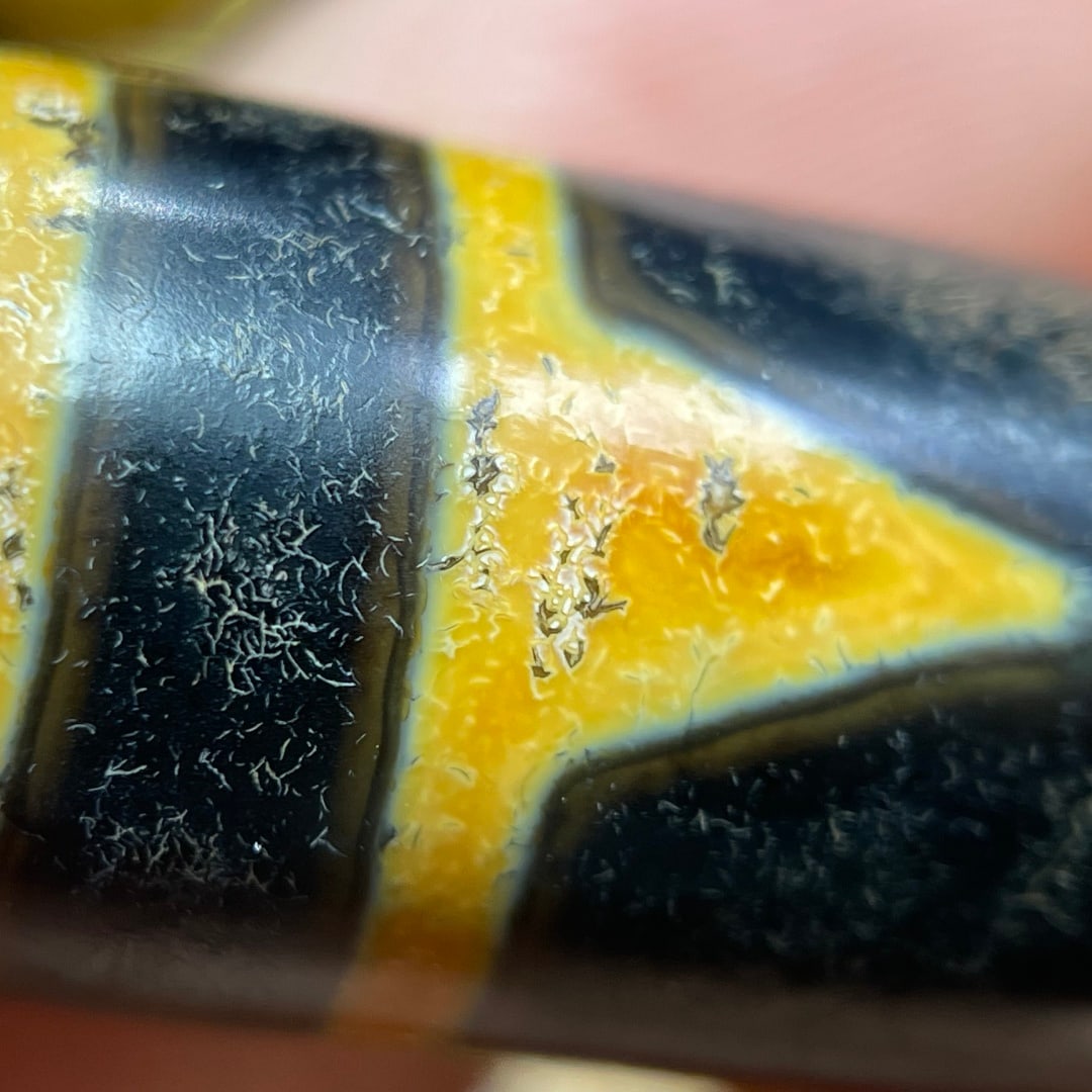 A Exquisite Tiger Tooth Dzi bead - 7
