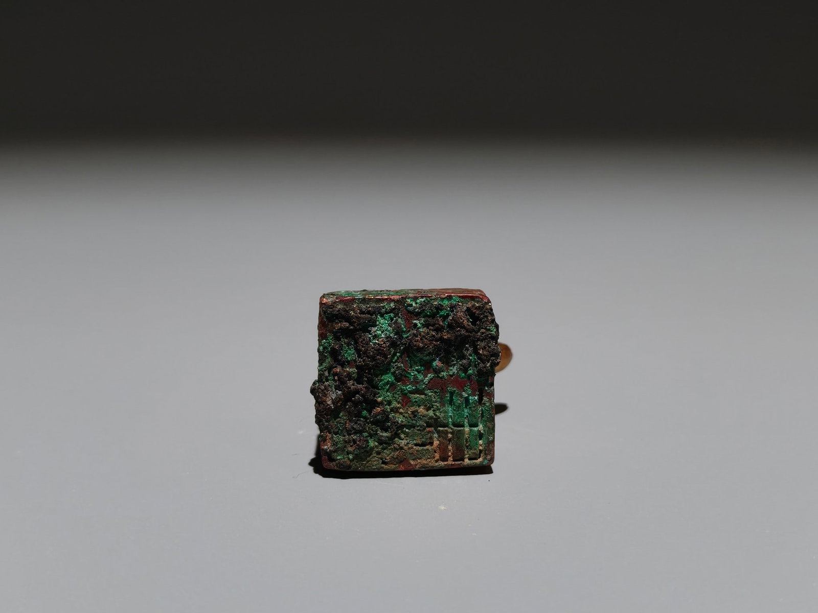 A Exquisite Gilt Bronze Turtle Seal - 9