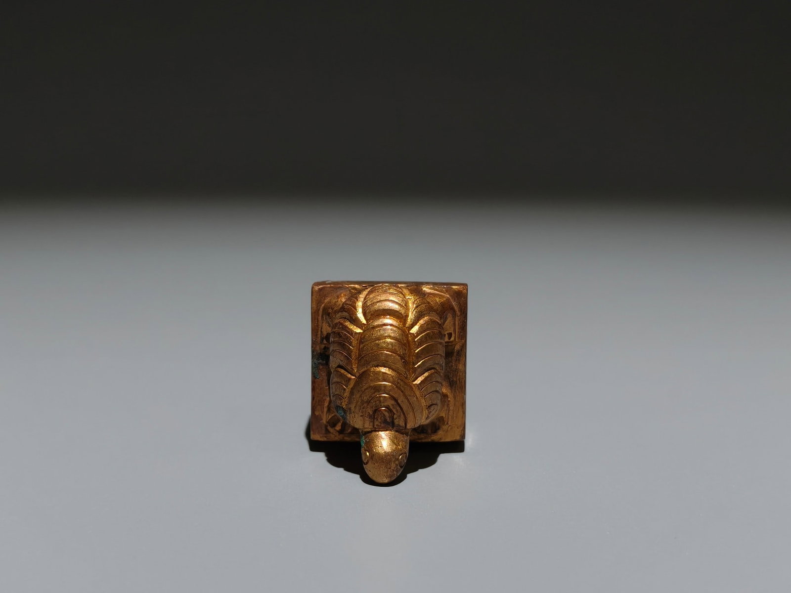 A Exquisite Gilt Bronze Turtle Seal - 8