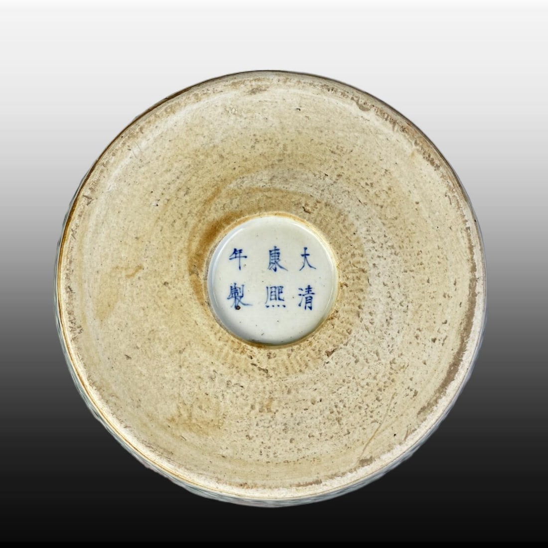 Wucai Lion Pattern Vat - 9
